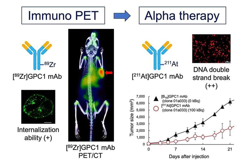 A powerful new tool in the fight against one of the deadliest cancers