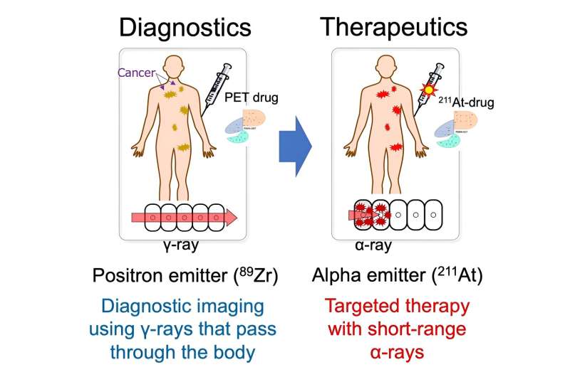 A powerful new tool in the fight against one of the deadliest cancers