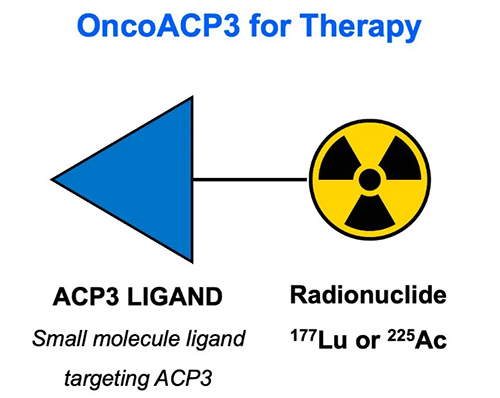 225Ac-OncoACP3-Structure-.jpg
